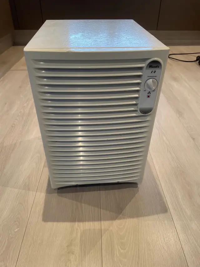 Avfukter / luftavfukter – Wood’s DS1