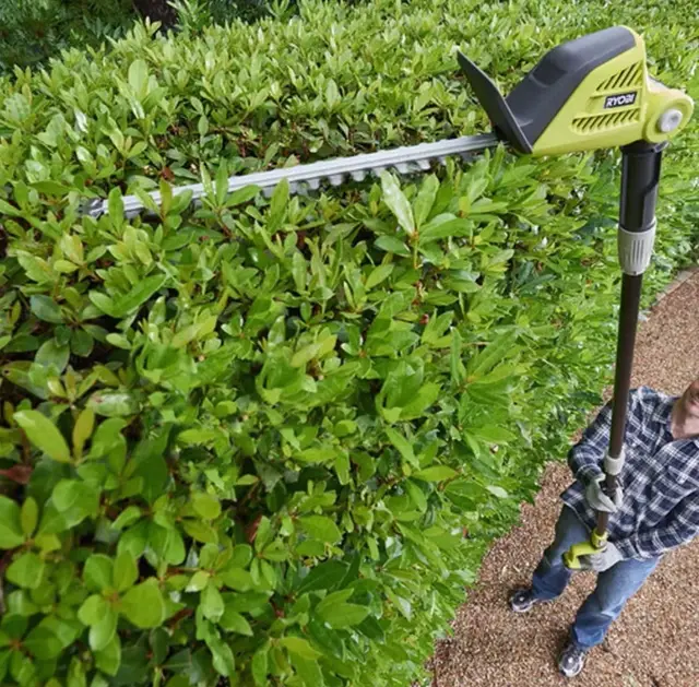 Hekksaks/hekktrimmer med forlenger leies ut