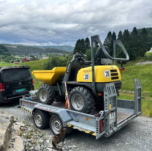Mini dumper